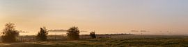 Panoramic photo of misty polder in the morning light 2