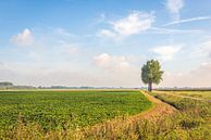 Schilderachtig Nederlands landschap in Noord-Brabant van Ruud Morijn thumbnail