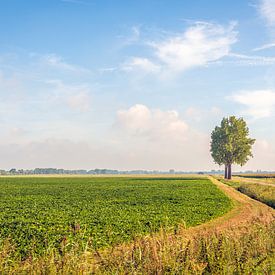 Schilderachtig Nederlands landschap in Noord-Brabant van Ruud Morijn