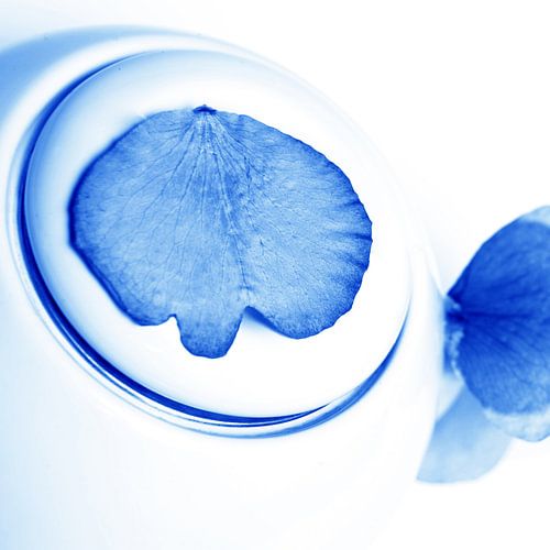 Delftsblauwe Bloemen - Theepot 28