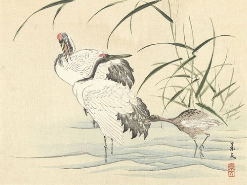 Deux grues avec des jeunes par Matsumura Keibun - 1892