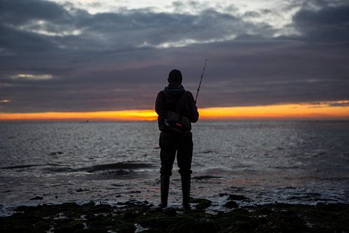 Visser kijkend naar de horizon