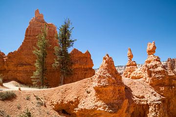 BRYCE CANYON Mooie wandelroute