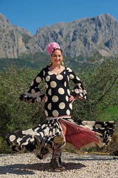 flamenco ronddraaien