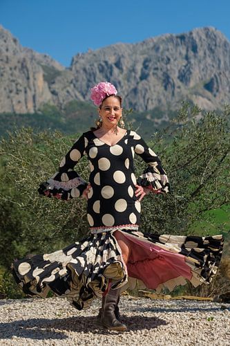 flamenco ronddraaien