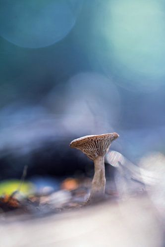 Don't waste your time