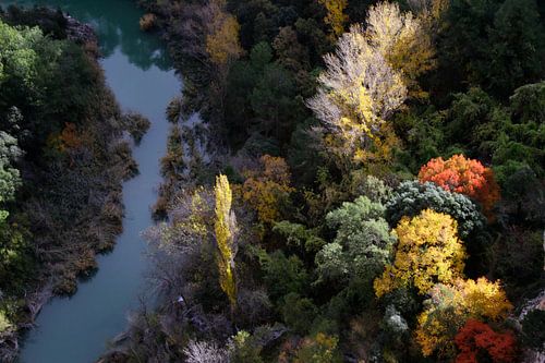 Colourful leaves on the trees in Spain