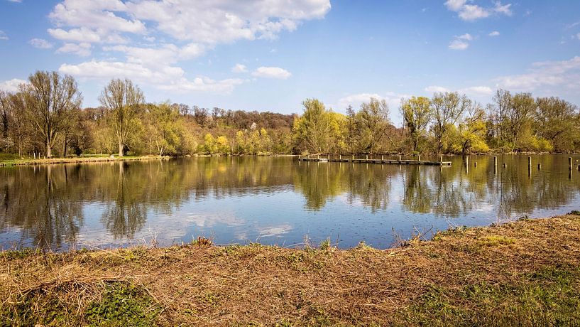 Fishpond Valkenburg by Rob Boon