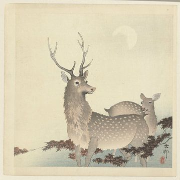 Two Deer, Ohara Koson