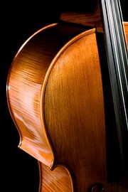 Cello II by Michael Krawietz