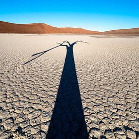 Hiddenvlei (Namibië). van Kees Kroon