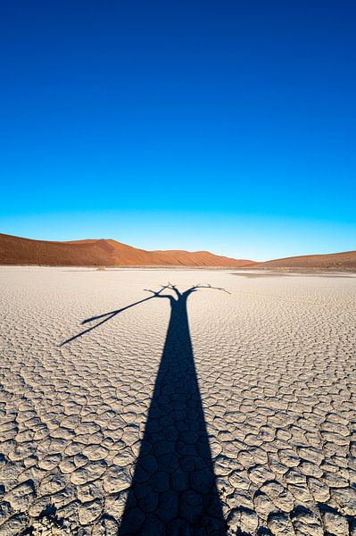 Hiddenvlei (Namibie). par Kees Kroon