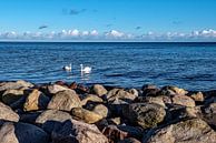 Winter am Meer von Thomas Riess Miniaturansicht