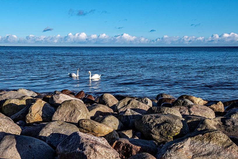 Winter am Meer von Thomas Riess