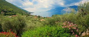 Baie de Val di Sogno, Italie