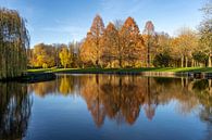 Herfst in het park van kasteel Hülshoff van Peter Schickert thumbnail