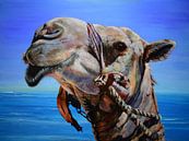kameel ...schip der woestijn van Janny Schilderink......Atelier "de Tuute " thumbnail
