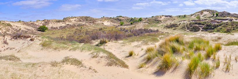 Amsterdamse Waterleidingduinen in panoramabeeld van eric van der eijk