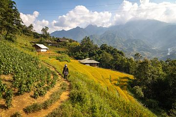 Sa Pa, Vietnam by Patrick Fotografeert