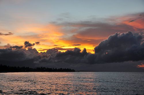 Lovina en haar betoverende kleuren