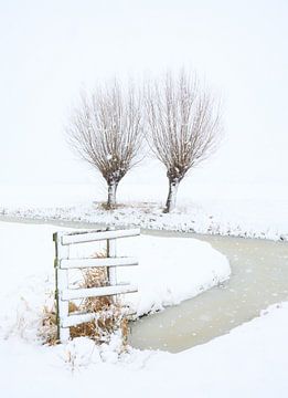 Een sneeuwbui kleurt het landschap wit in de polder - Noordeloos