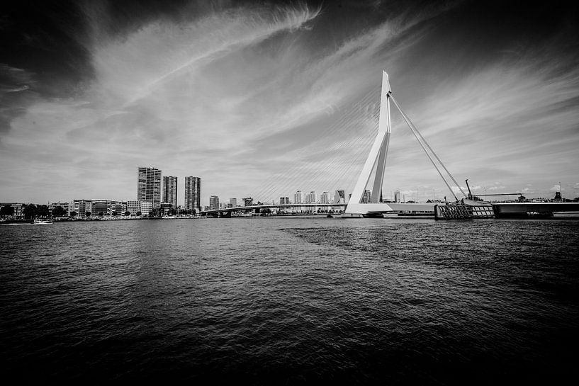 Erasmusbrug te Rotterdam van Brian Morgan