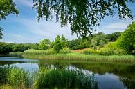 Vue sur le lac par Pascal Raymond Dorland Aperçu