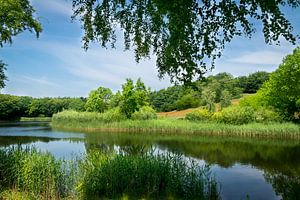 View on the lake