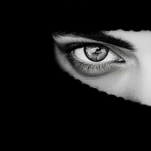 Dame in boerka zwart-wit