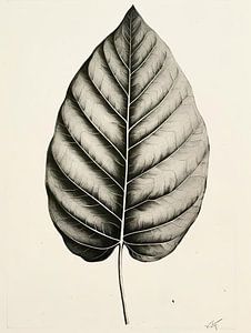 Herbstblatt