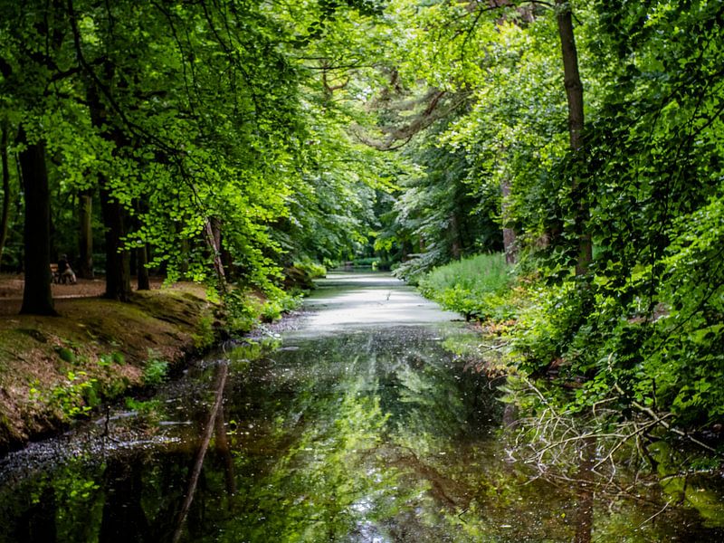 Reflection in the forest part II by Martijn Tilroe