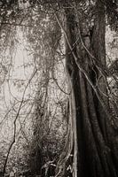 Travel photography