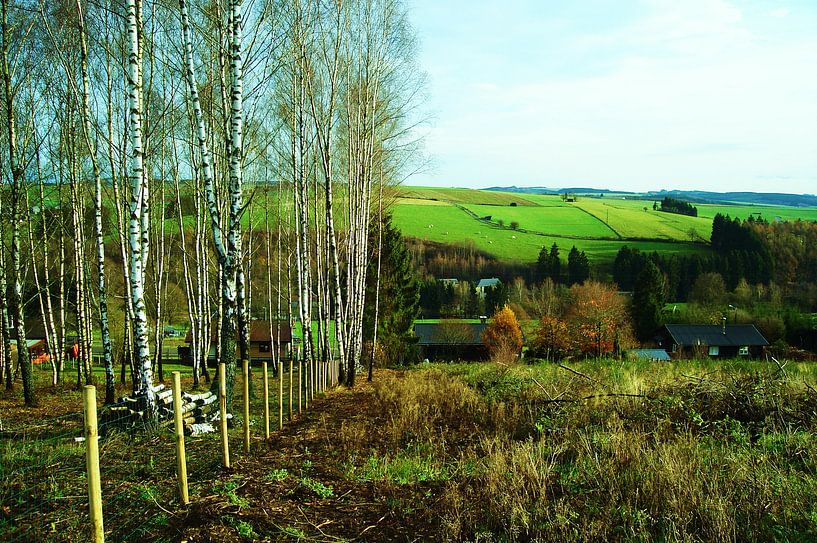 a perfect view von anita decreton