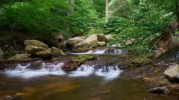 The river Ilse near Ilsenburg at the foot of the Brocken by Heiko Kueverling