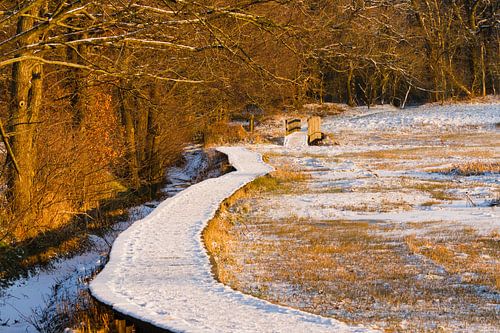 Besneeuwde vlonder in het gouden uur
