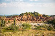 A hilly rock formation in the Tatacoa Desert in Colombia von Michiel Ton Miniaturansicht