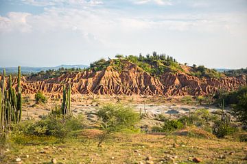 Een heuvelige rotsformatie in de Tatacoa Woestijn in Colombia van Michiel Ton