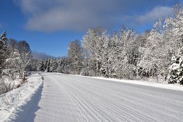 Een ijzige weg in de winter van Claude Laprise