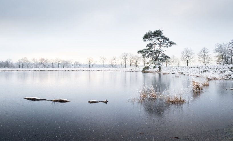 Winter Allardsoog by René de Vries