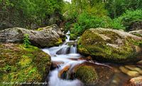The waterfall