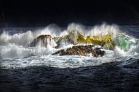 Waar de fjord de oceaan ontmoet