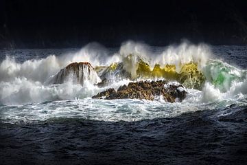 Waar de fjord de oceaan ontmoet van Chantal CECCHETTI