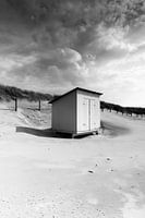 wooden house on the beach