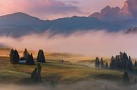 Sunrise in Alpe di Siusi by Henk Meijer Photography thumbnail