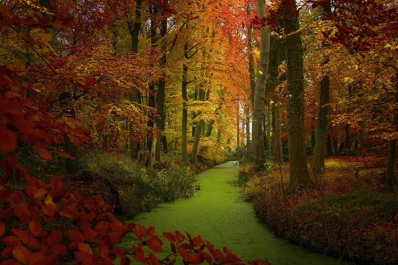 Herbst von Willem  Bentink