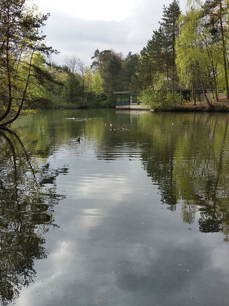 lake by Barry van Strien