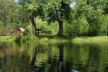 Reflet sur l'étang au parc
