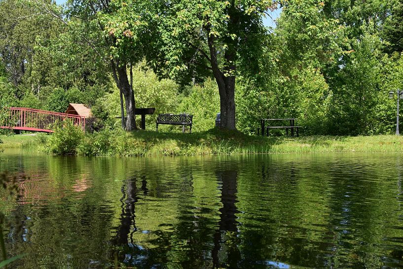 Reflection on the pond in the park by Claude Laprise