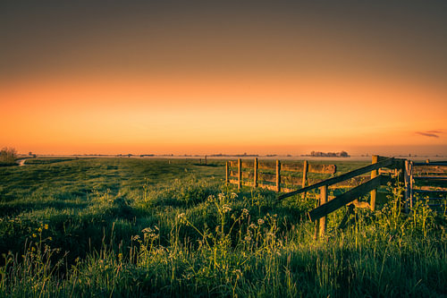 Polder Landschap