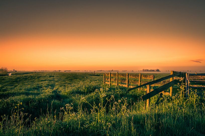 Polderlandschaft  von Rob IJlst